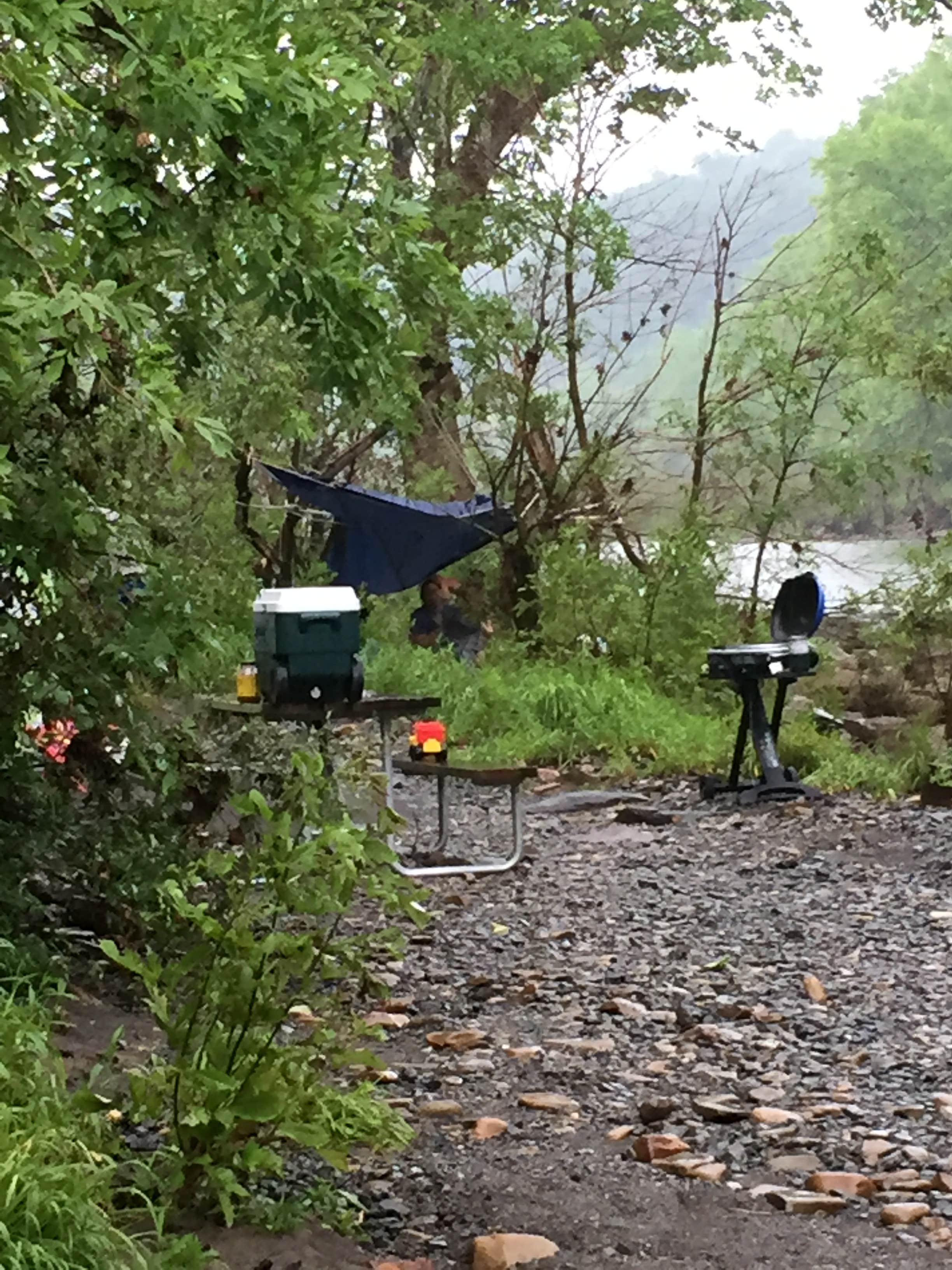 Camper submitted image from Greenbrier River Campground - 4