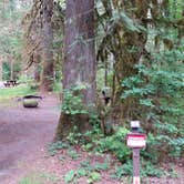 Review photo of Verlot Campground by Douglas S., August 1, 2019