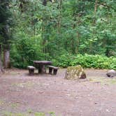 Review photo of Verlot Campground by Douglas S., August 1, 2019