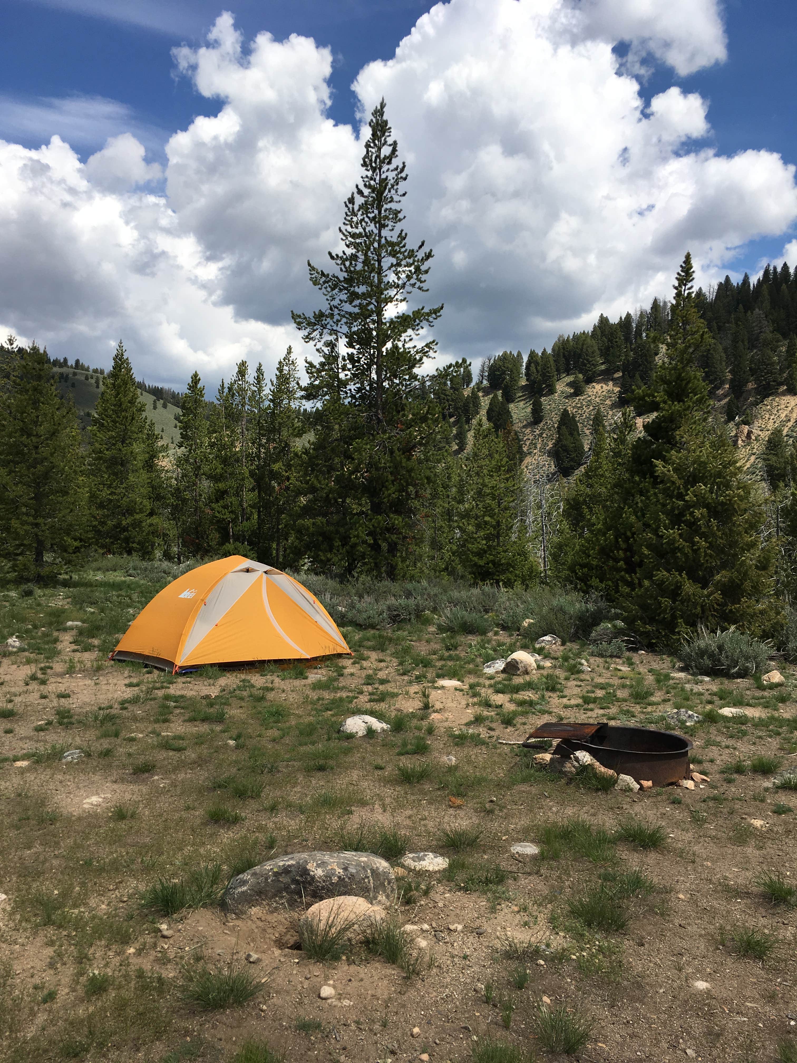 Annie C.'s photo of a dispersed camping area at Redfish Lake Overflow Dispersed near Salmon-Challis National Forest