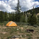 Review photo of Redfish Lake Overflow Dispersed by Annie C., August 1, 2019