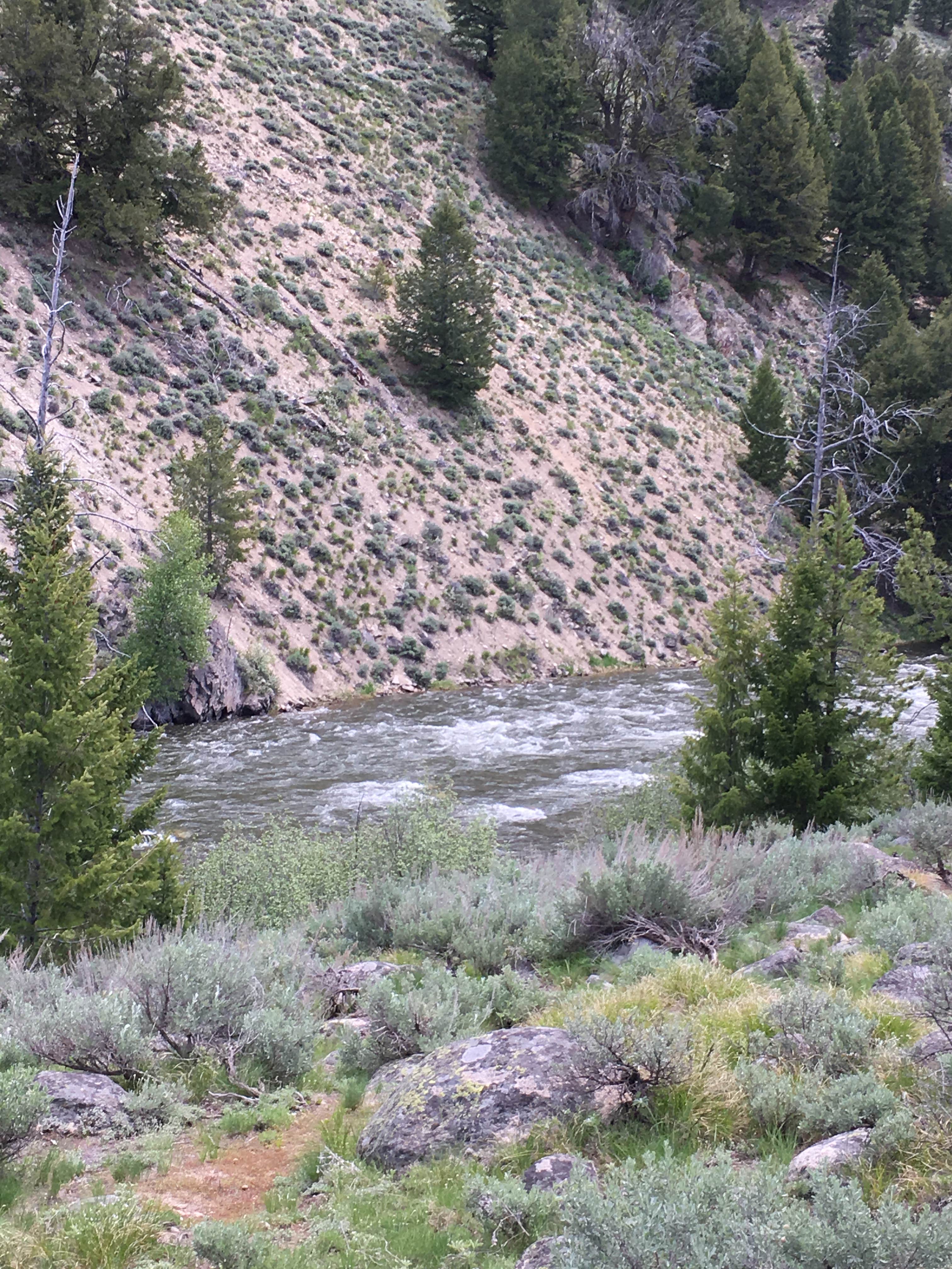 Camper submitted image from Redfish Lake Overflow Dispersed - 2