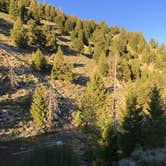 Review photo of Redfish Lake Overflow Dispersed by Annie C., August 1, 2019