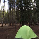 Review photo of Elbert Creek — Psicc by Cassandra B., August 1, 2019