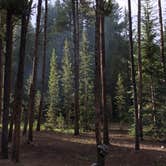 Review photo of Elbert Creek — Psicc by Cassandra B., August 1, 2019