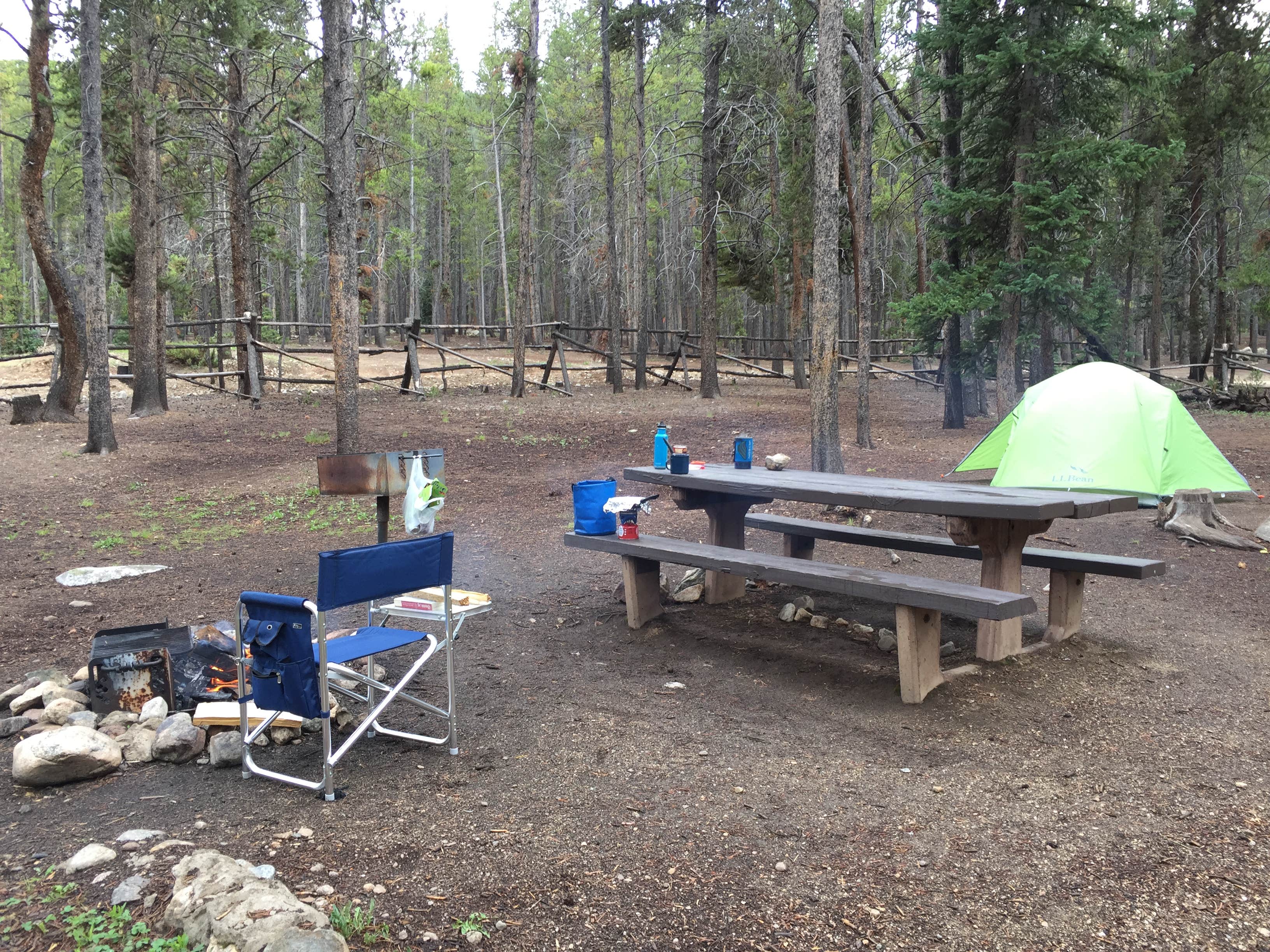 Camper submitted image from Elbert Creek — Psicc - 3