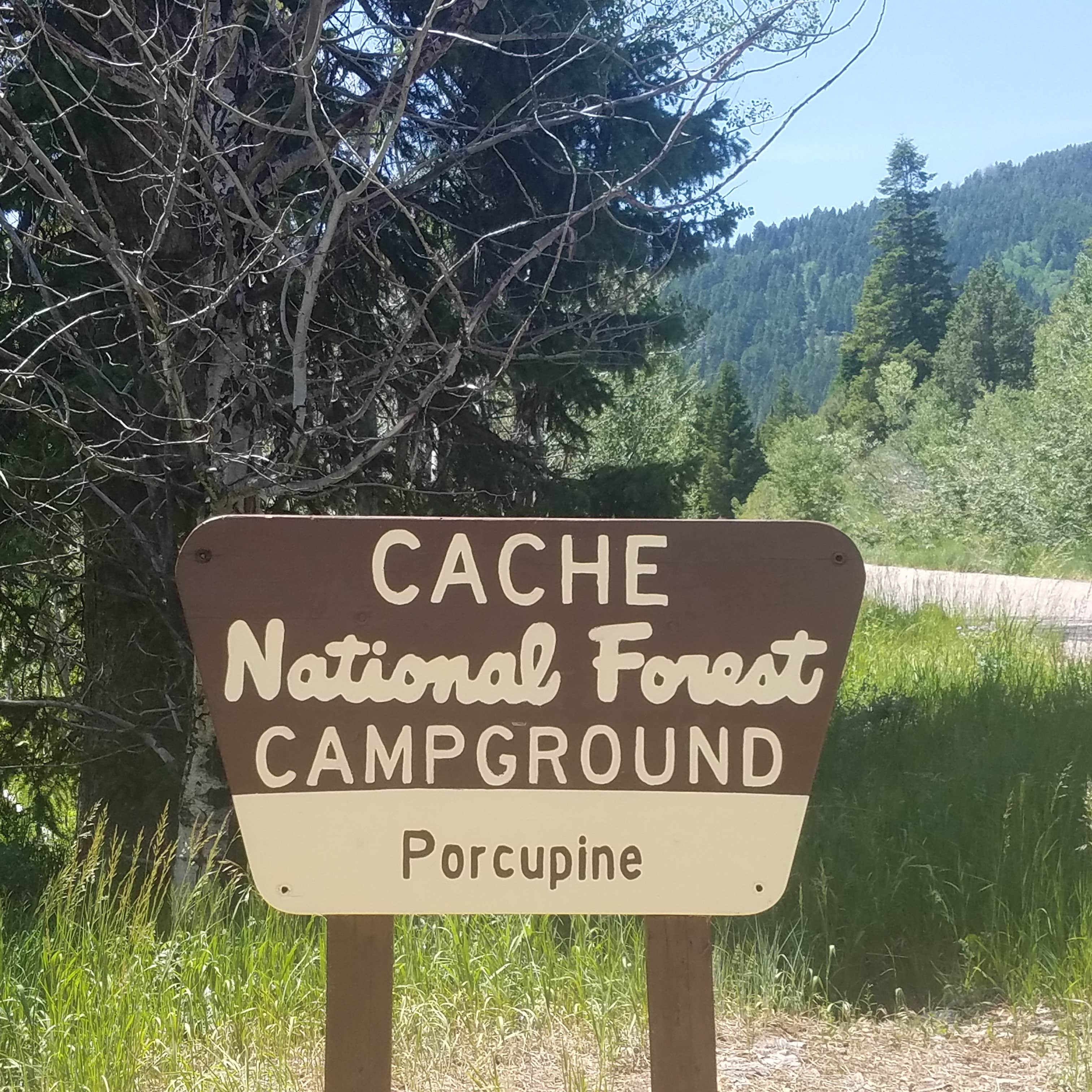 Escape To Idaho’s Wild Side: Porcupine Campground, Your Gateway To Adventure