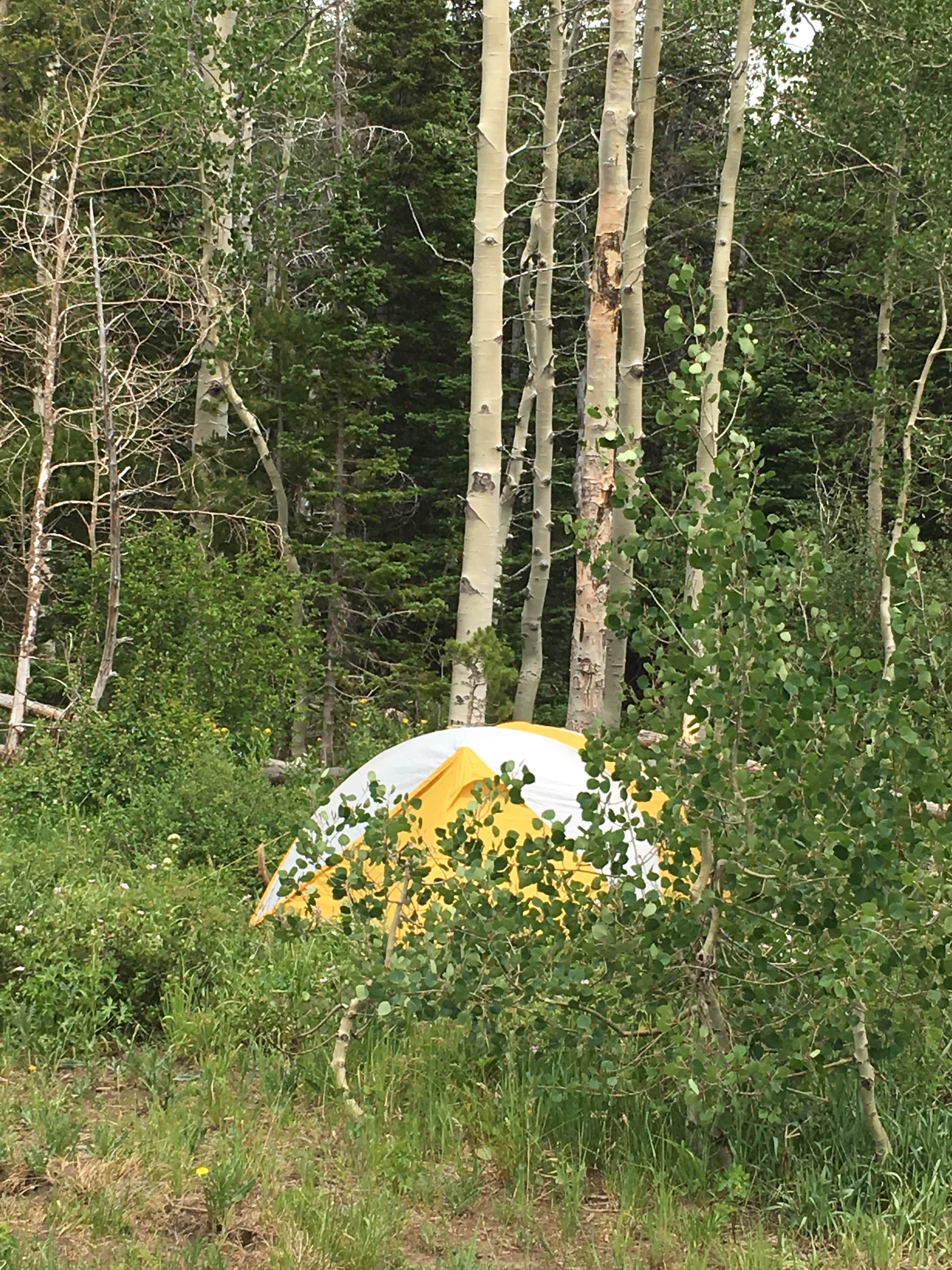 Annie C.'s photo at Lost Creek near Slater, CO