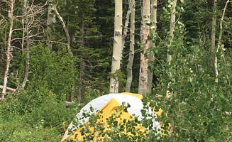 Annie C.'s photo at Lost Creek near Saratoga, WY