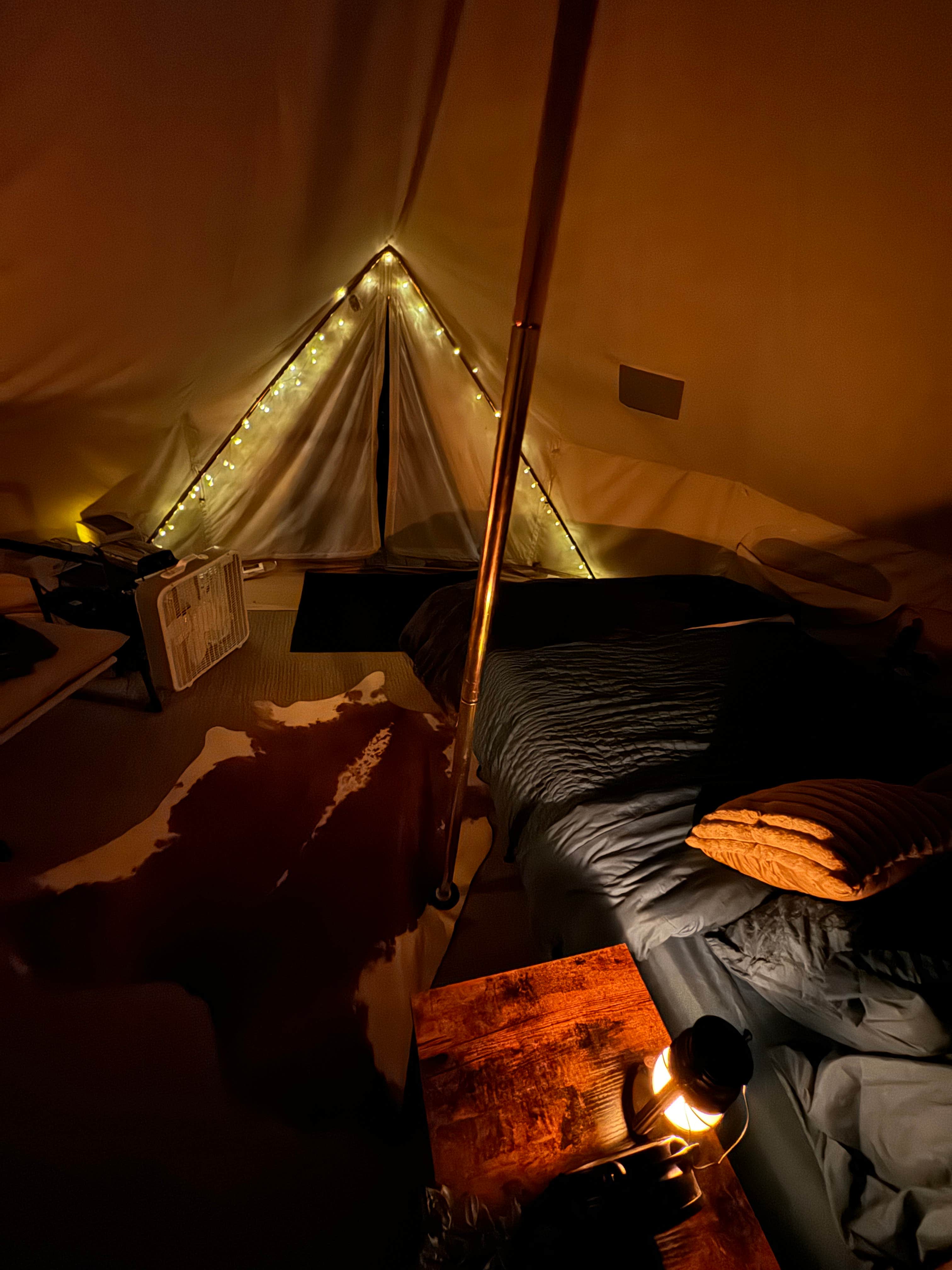 Camper submitted image from Mollys Ridge at Mammoth Cave - 2