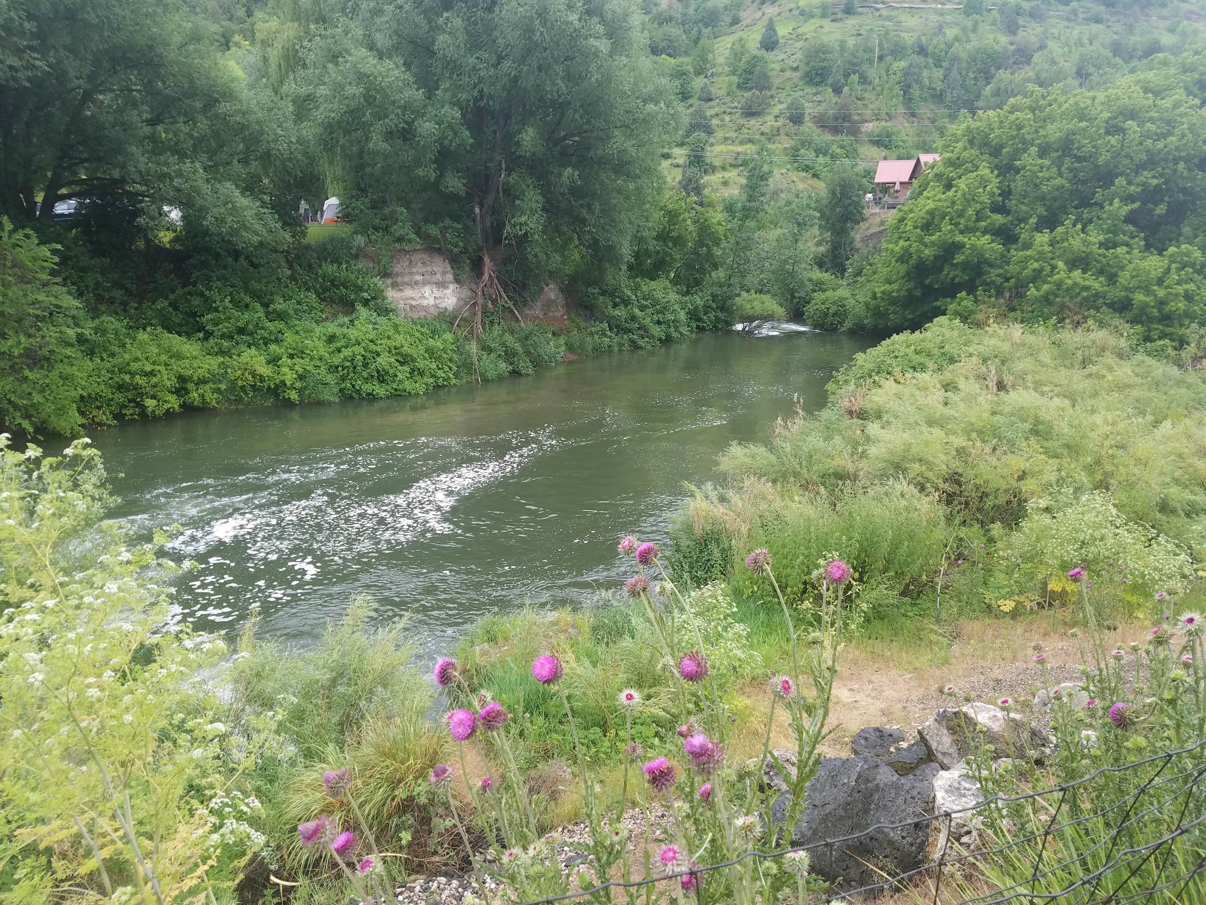 Camper-submitted photo at Mary’s Campground near Lava Hot Springs, ID
