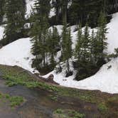 Review photo of Silver Lake Campground by Annie C., August 1, 2019