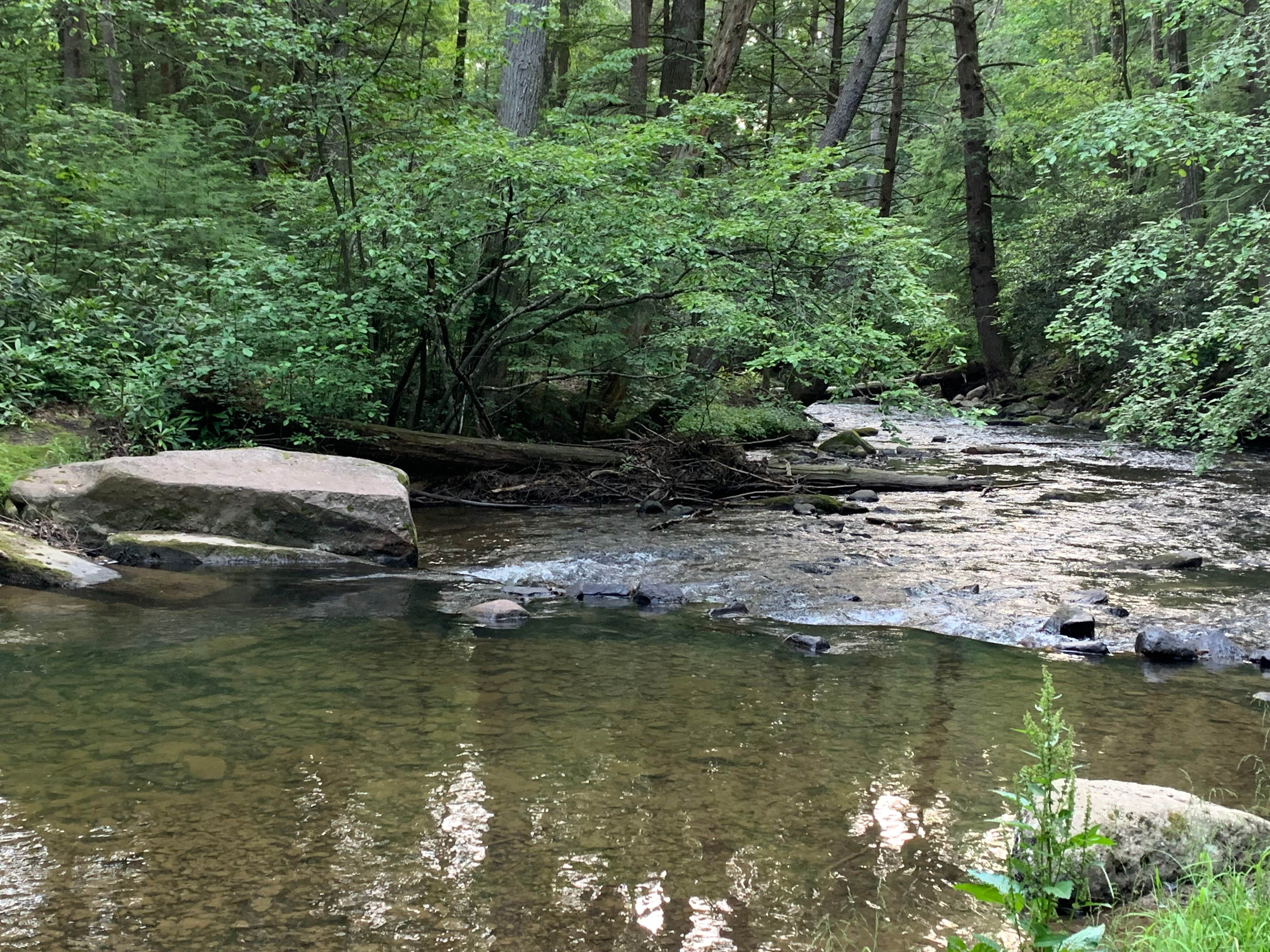 Camper submitted image from Reeds Gap State Park Campground - 3