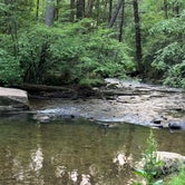 Review photo of Reeds Gap State Park Campground by Paula L., August 1, 2019