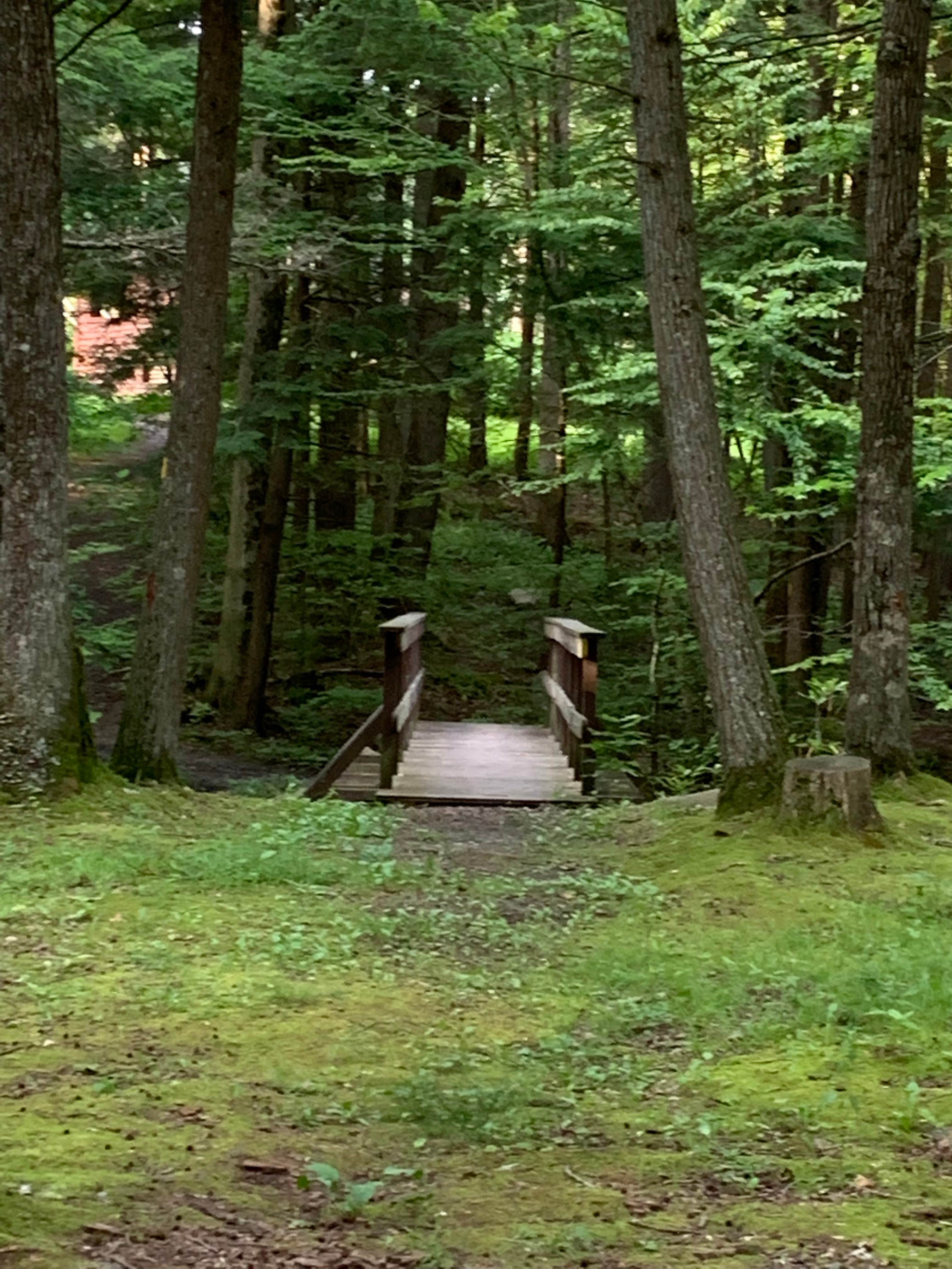 Camper submitted image from Reeds Gap State Park Campground - 2