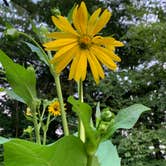 Review photo of Reeds Gap State Park Campground by Paula L., August 1, 2019