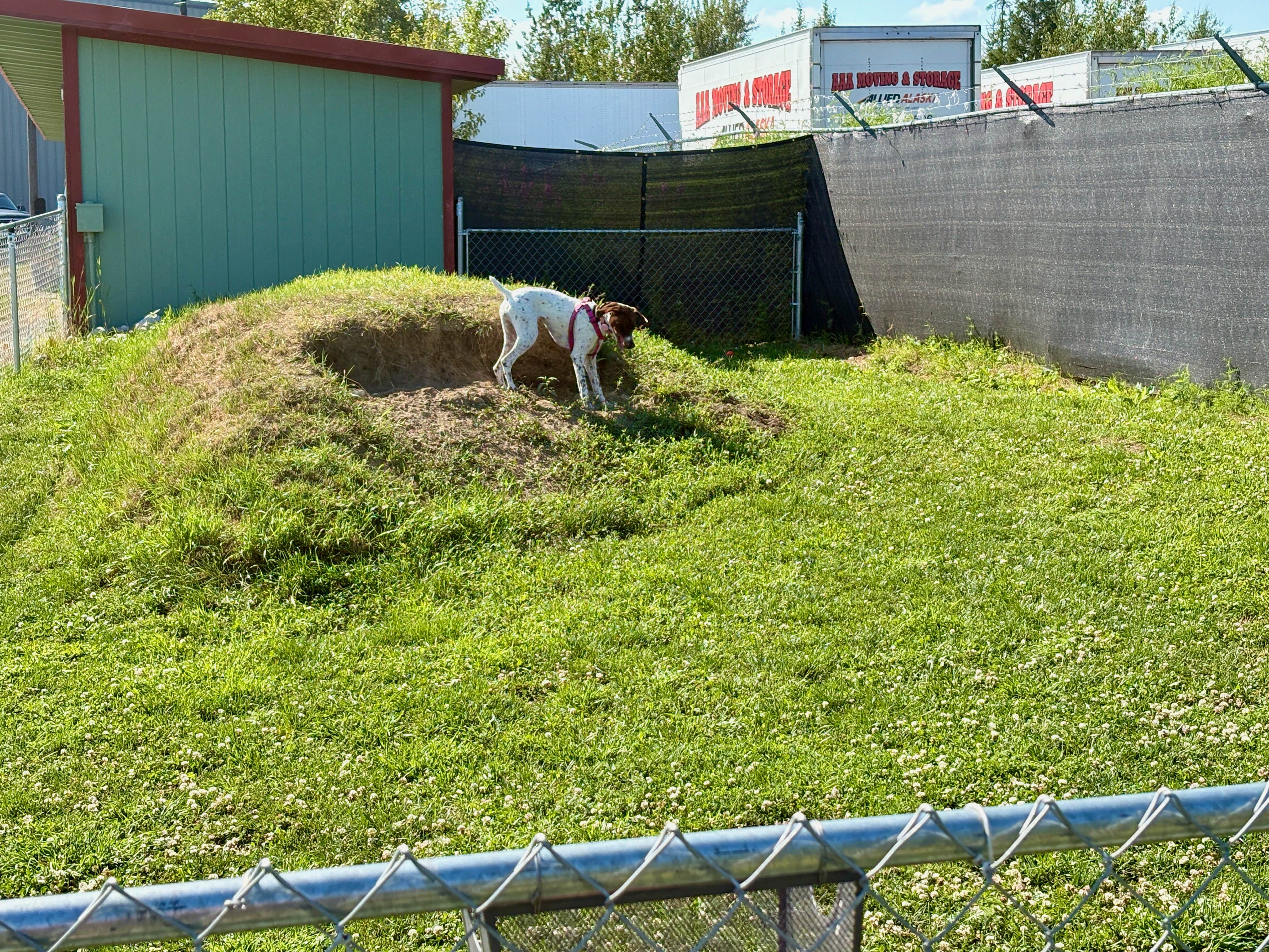 MickandKarla W.'s photo of camping with pets at Anchorage N KOA Journey near Anchorage, AK