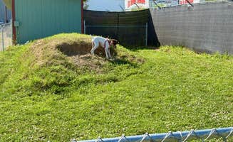 MickandKarla W.'s photo of camping with pets at Anchorage N KOA Journey near Palmer, AK