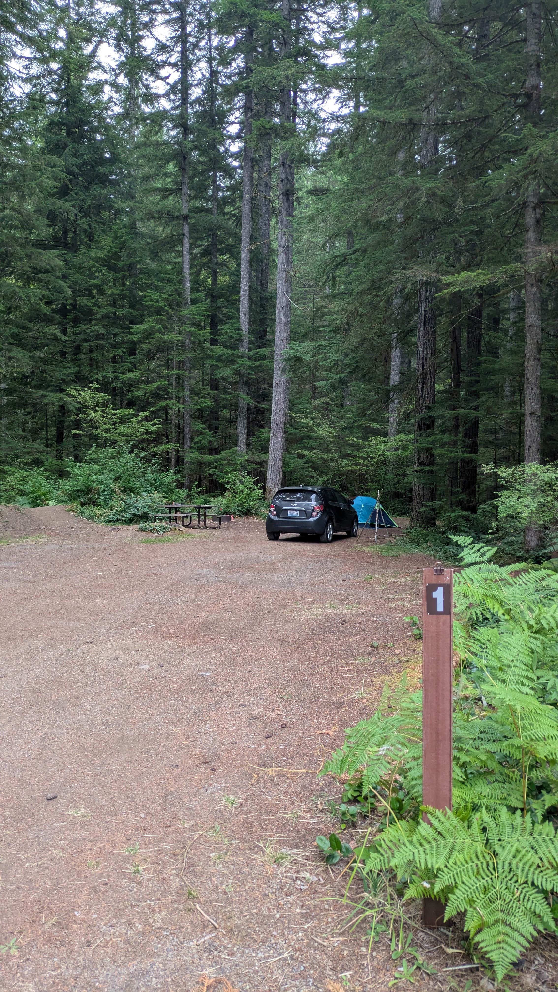 Camper-submitted photo at Dispersed Camping NF 2918 — Olympic National Park near Joyce, WA