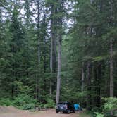 Review photo of Dispersed Camping NF 2918 — Olympic National Park by Edi M., September 10, 2025