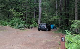 Edi M.'s photo of a dispersed camping area at Dispersed Camping NF 2918 — Olympic National Park near Joyce, WA