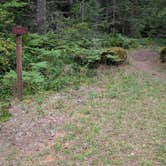 Review photo of Dispersed Camping NF 2918 — Olympic National Park by Edi M., September 10, 2025