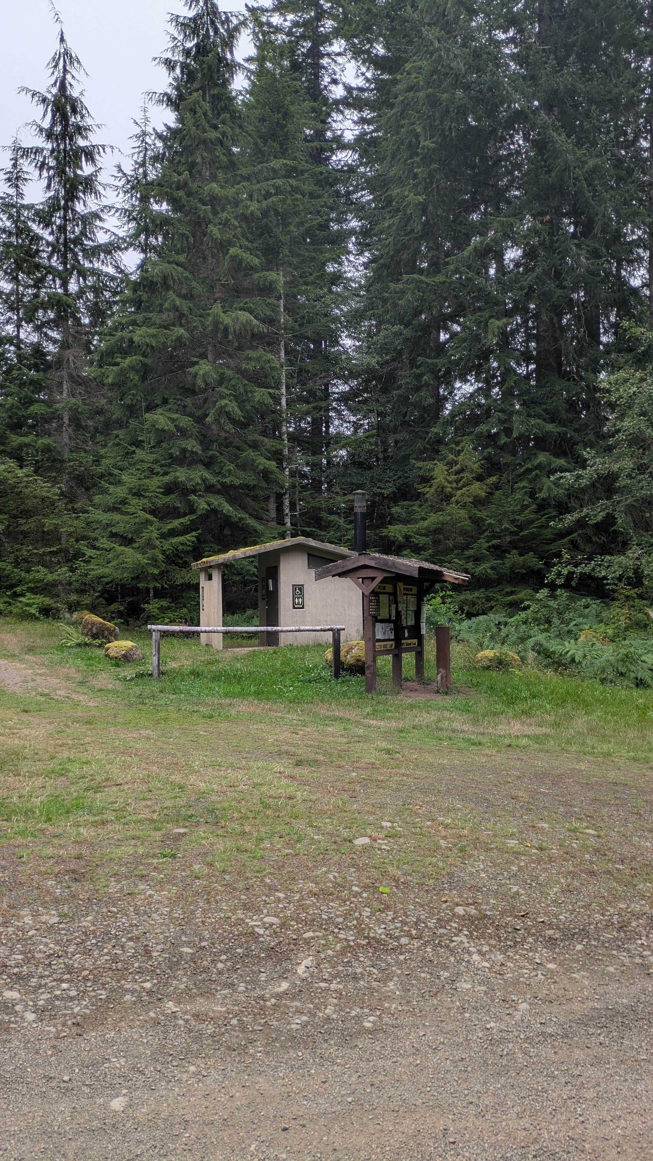 Camper-submitted photo at Dispersed Camping NF 2918 — Olympic National Park near Forks, WA