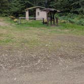 Review photo of Dispersed Camping NF 2918 — Olympic National Park by Edi M., September 10, 2025