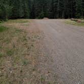 Review photo of Dispersed Camping NF 2918 — Olympic National Park by Edi M., September 10, 2025