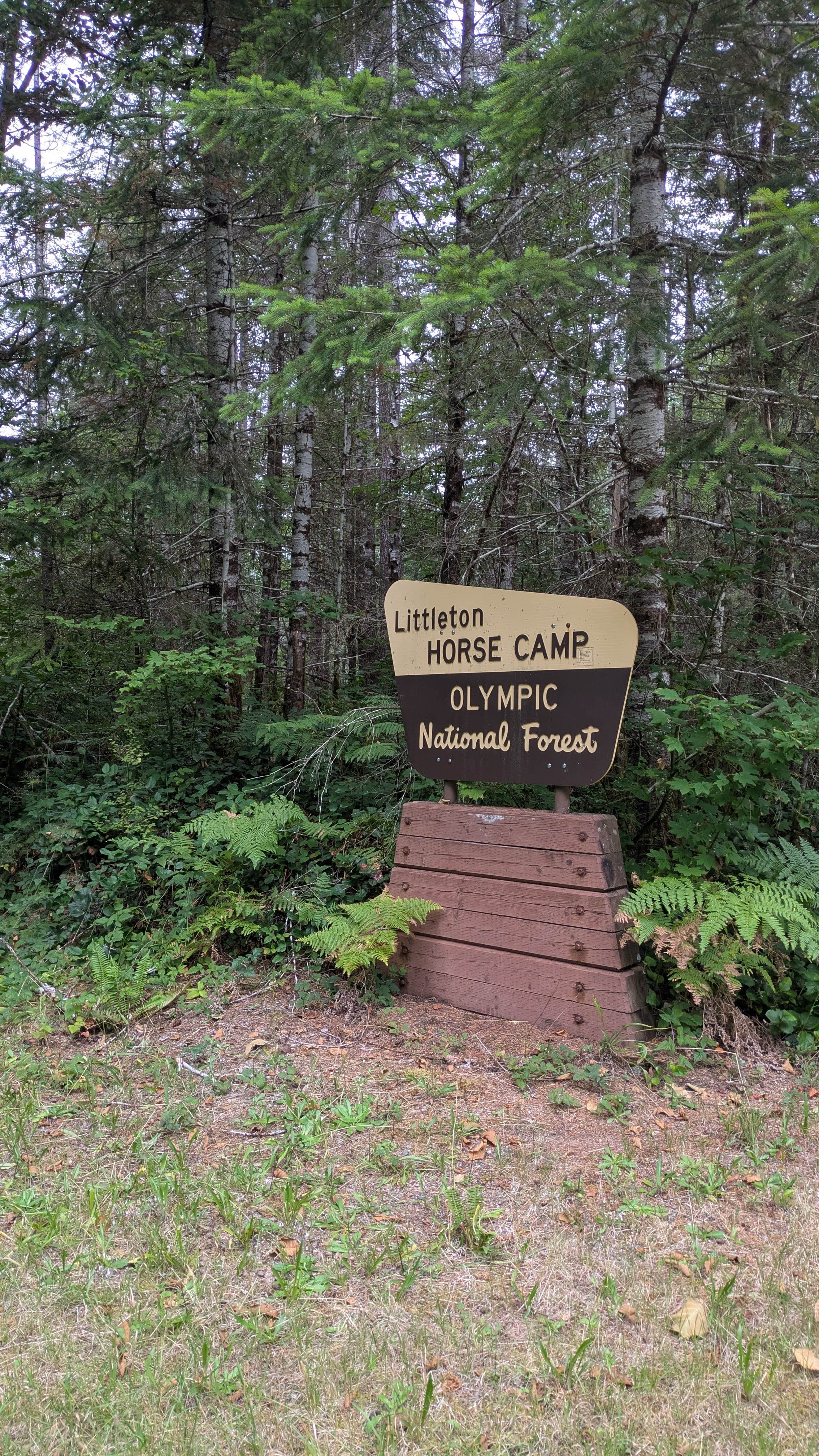 Dispersed Camping NF 2918 — Olympic National Park