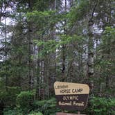 Review photo of Dispersed Camping NF 2918 — Olympic National Park by Edi M., September 10, 2025