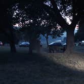 Review photo of Coyote Lake Harvey Bear Ranch County Park by Quyen W., August 1, 2019