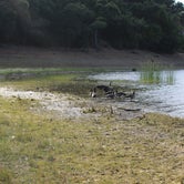 Review photo of Coyote Lake Harvey Bear Ranch County Park by Quyen W., August 1, 2019