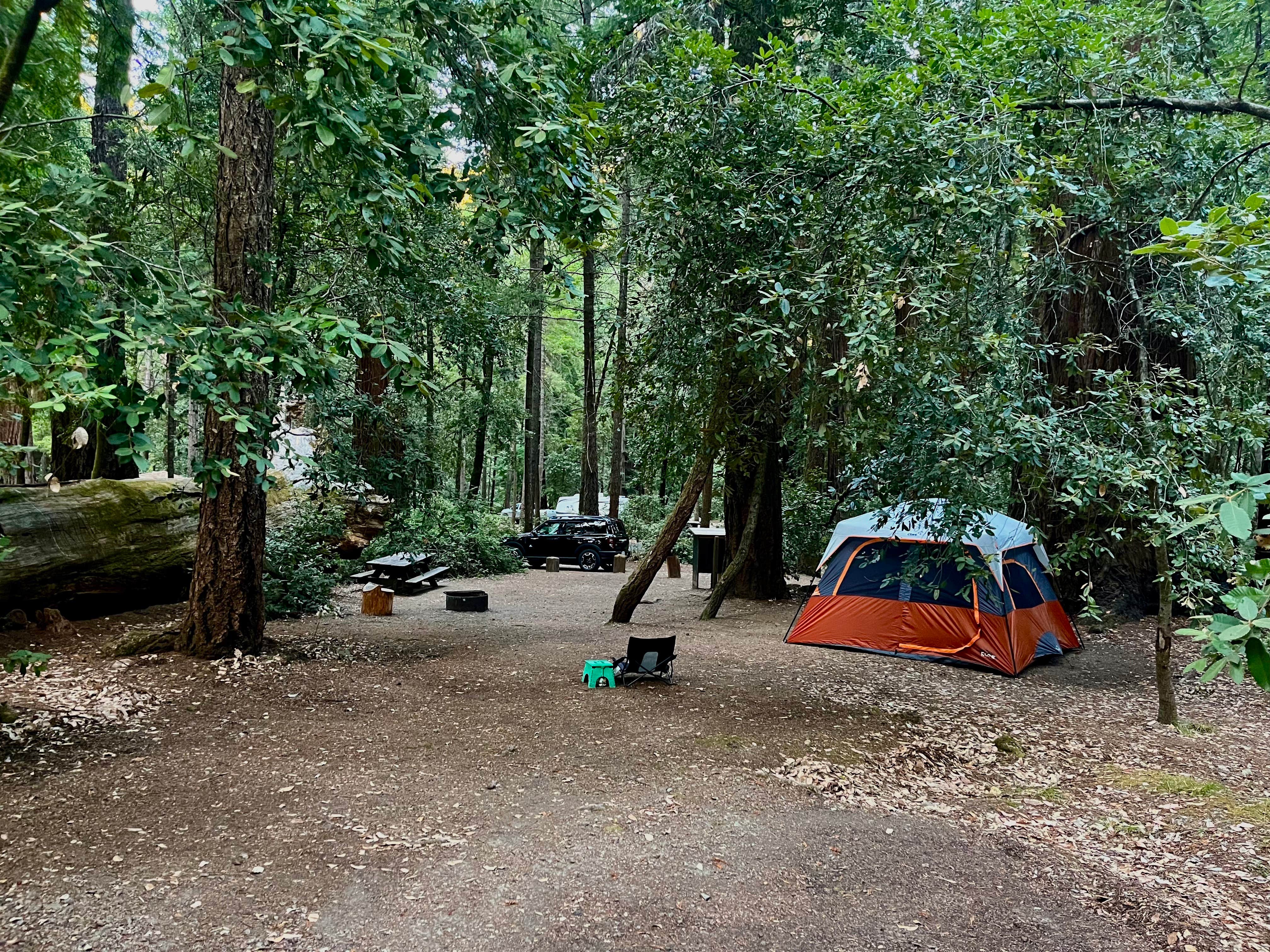 Camper-submitted photo at Richardson Grove State Park Campground near Covelo, CA