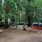 Review photo of Richardson Grove State Park Campground by Nathan P., September 10, 2025