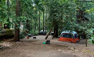 Nathan P.'s photo at Richardson Grove State Park Campground near Phillipsville, CA