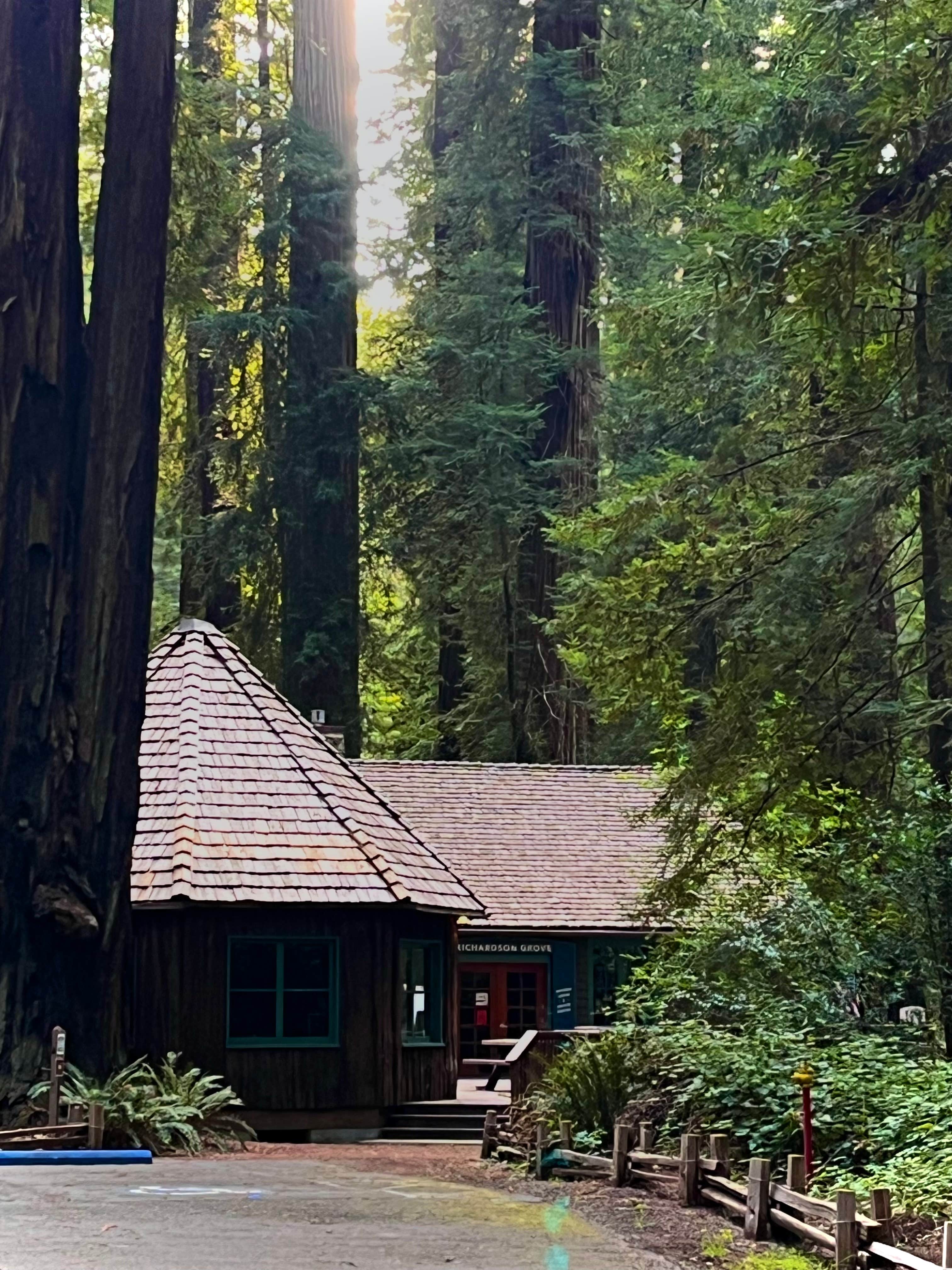 Nathan P.'s photo of a cabin at Richardson Grove State Park Campground near Covelo, CA