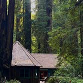 Review photo of Richardson Grove State Park Campground by Nathan P., September 10, 2025