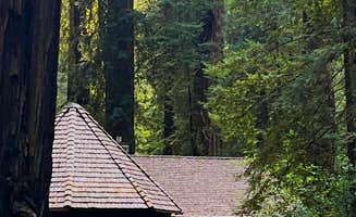 Nathan P.'s photo of a cabin at Richardson Grove State Park Campground near Weott, CA