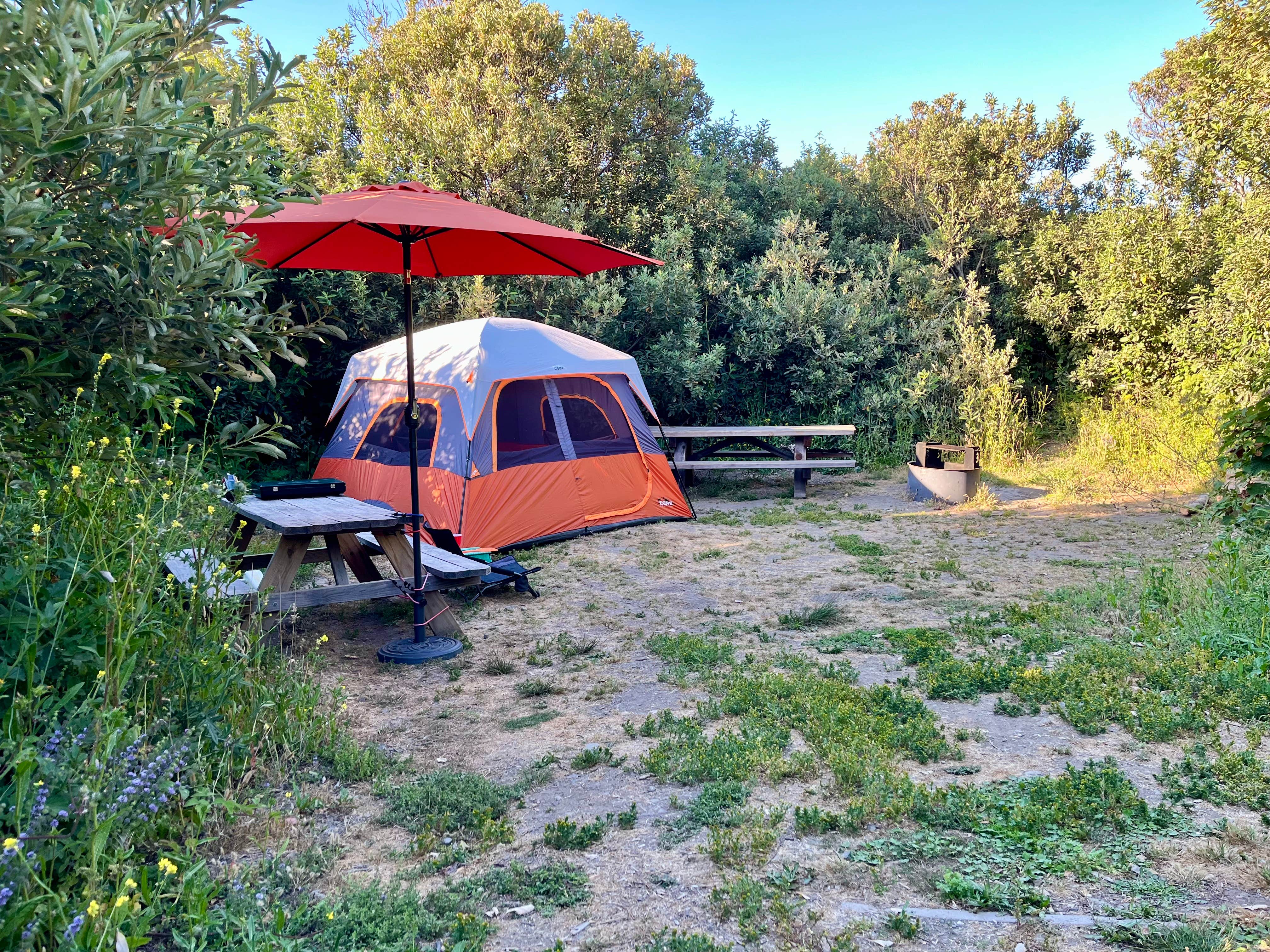 Nathan P.'s photo at Mattole Campground near Petrolia, CA