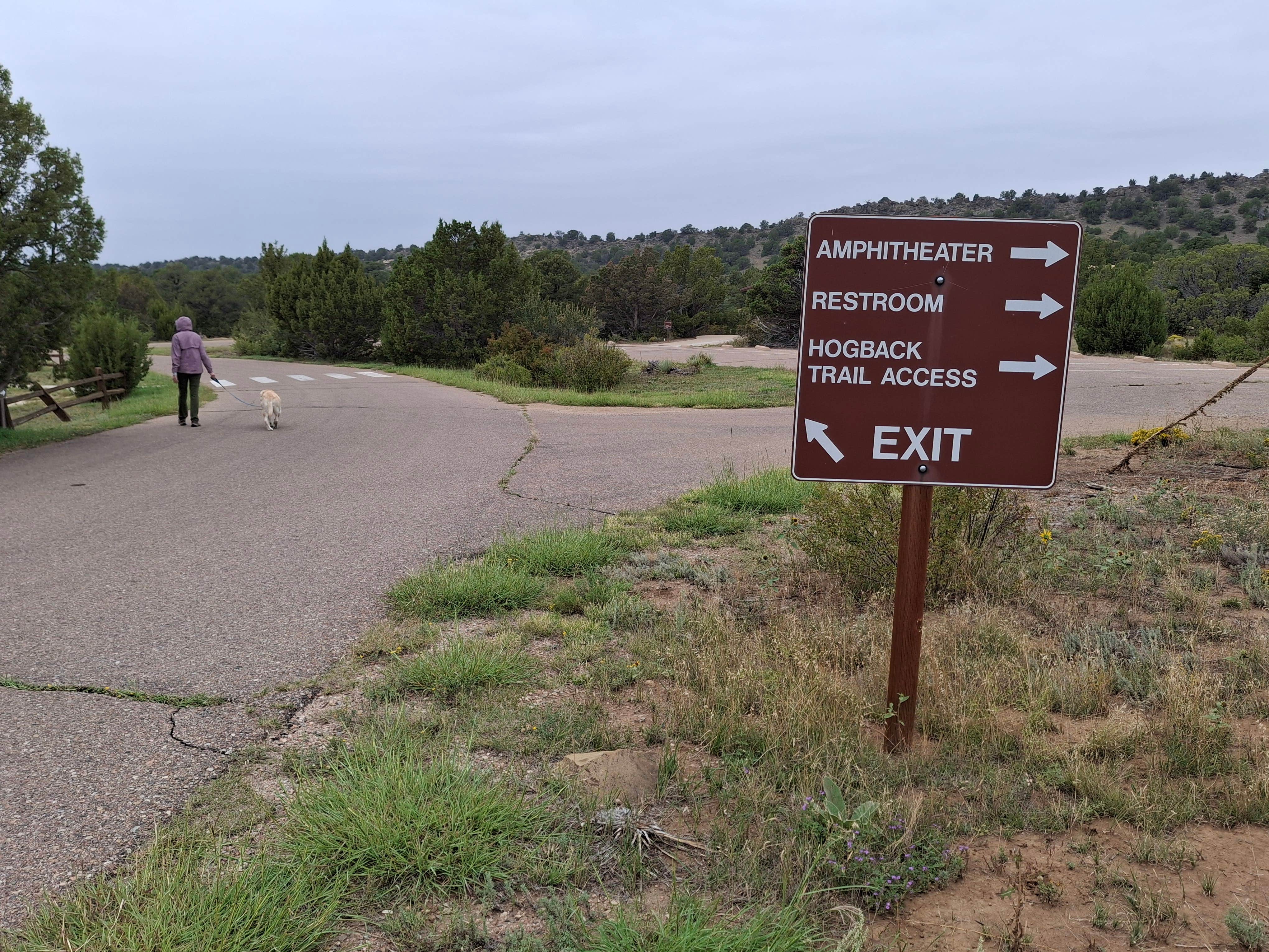 Mark M.'s photo of camping with pets at Lathrop State Park near Colorado City, CO
