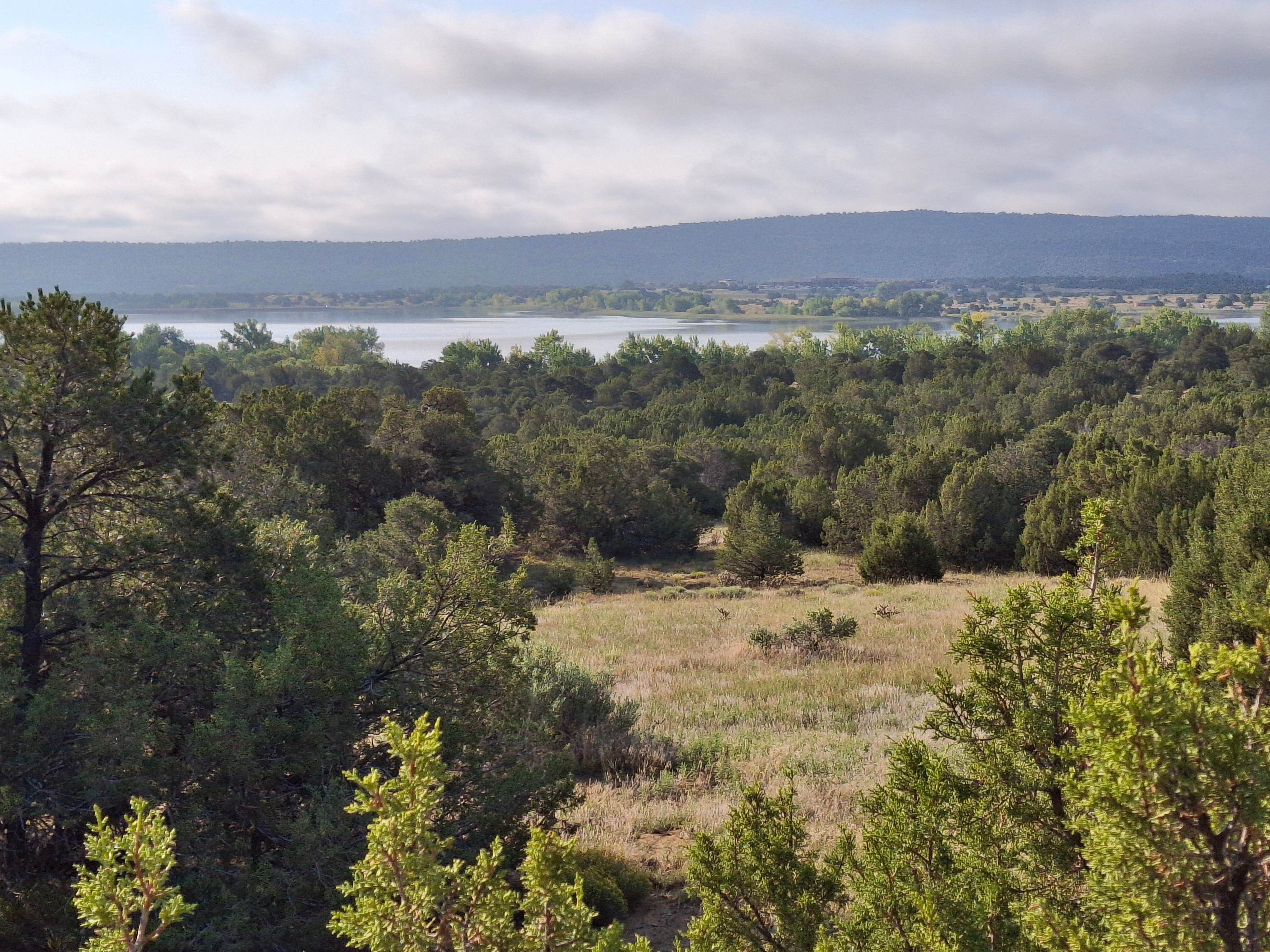 Camper-submitted photo at Lathrop State Park near Walsenburg, CO