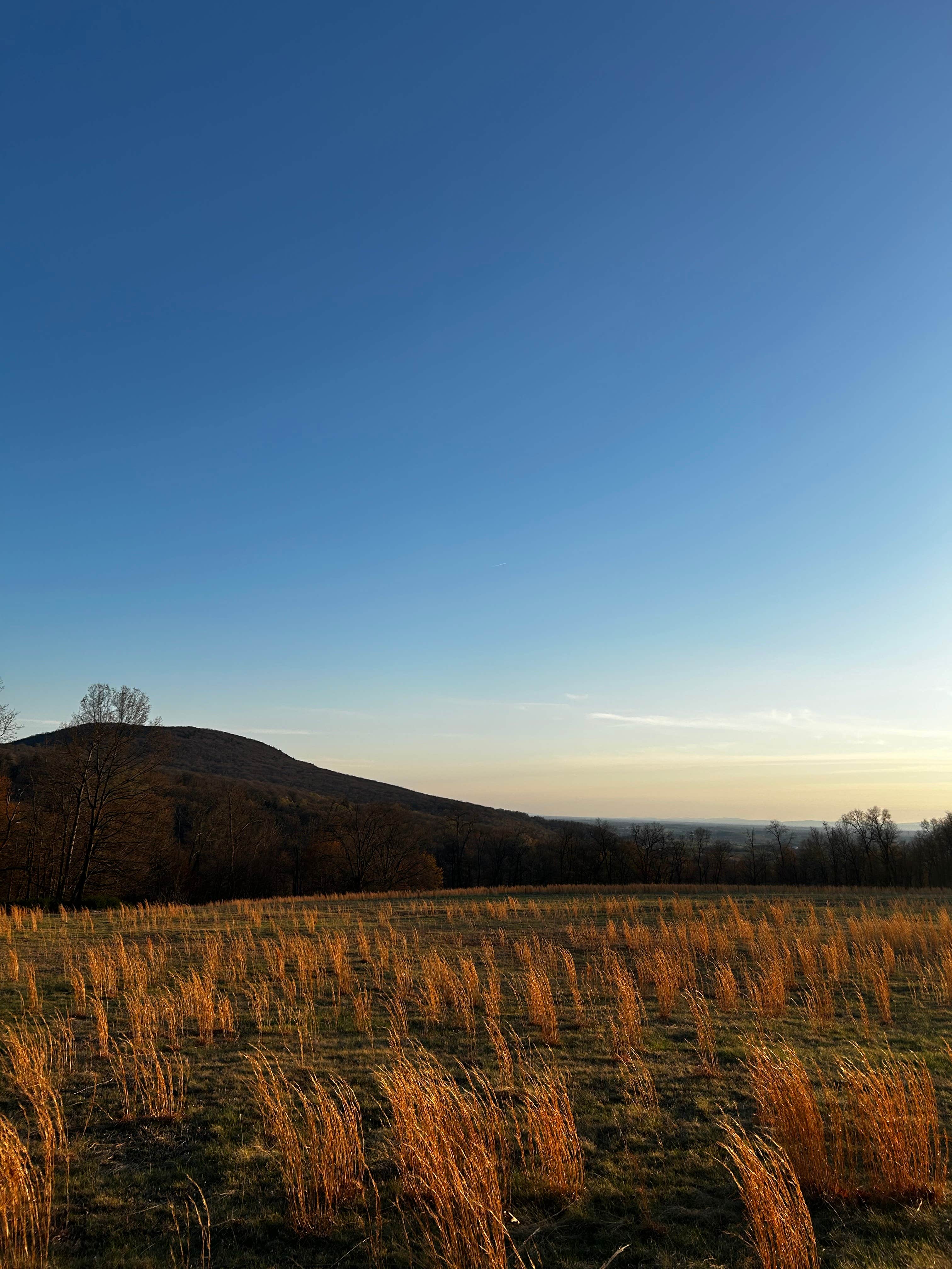 Camper submitted image from Blue Ridge Overlook - 1