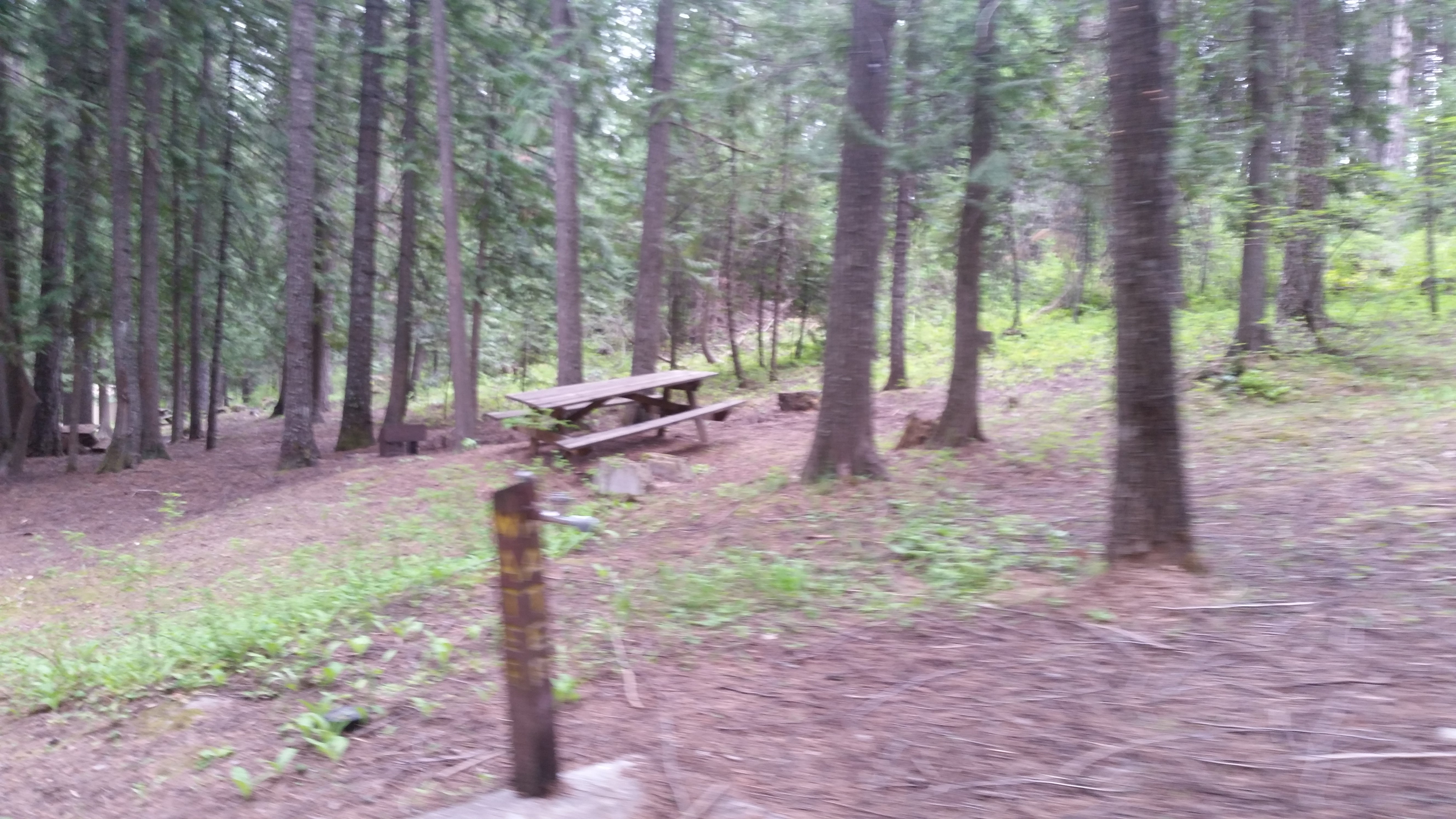 Camper submitted image from Pend Oreille County Park - 2