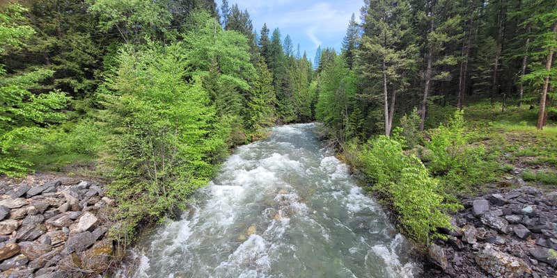 Camper submitted image from Bull Lake