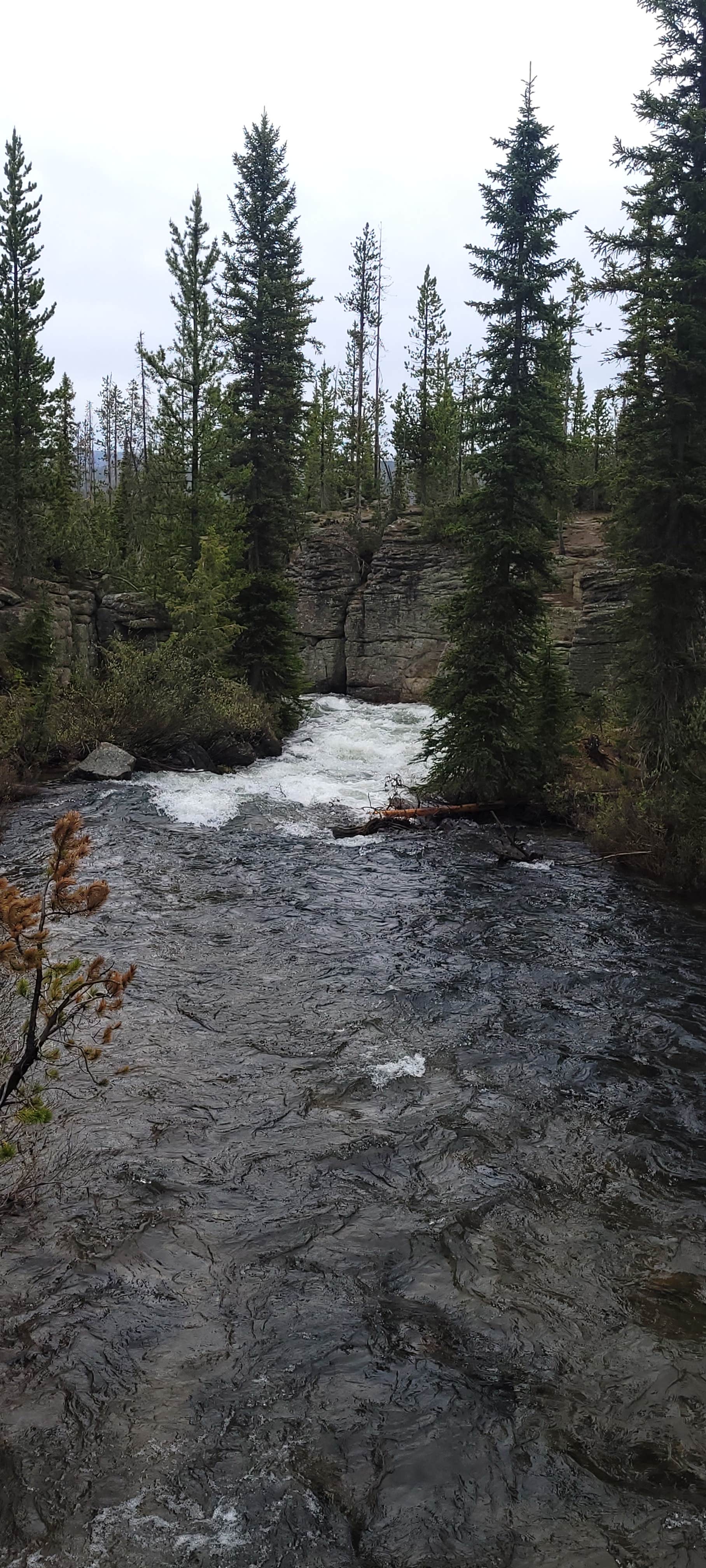 Camper-submitted photo at Grassy Lake Dispersed Camping near John D. Rockefeller Jr. Memorial Parkway