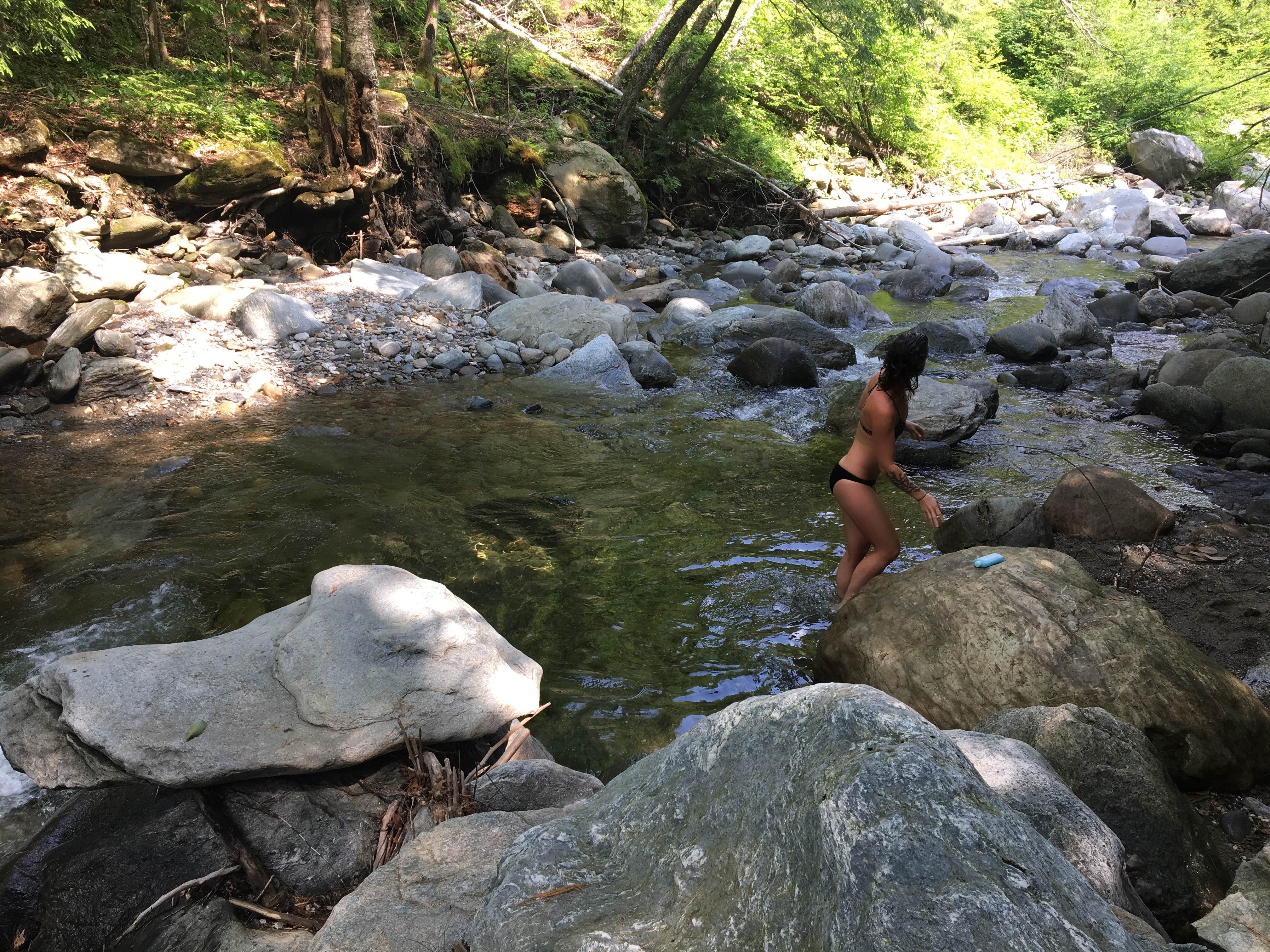 Camper submitted image from Camel's Hump State Park — Camels Hump State Park - 4