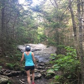 Review photo of Camels Hump State Park  by Kate K., August 1, 2019