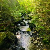 Review photo of Camel's Hump State Park — Camels Hump State Park by Kate K., August 1, 2019