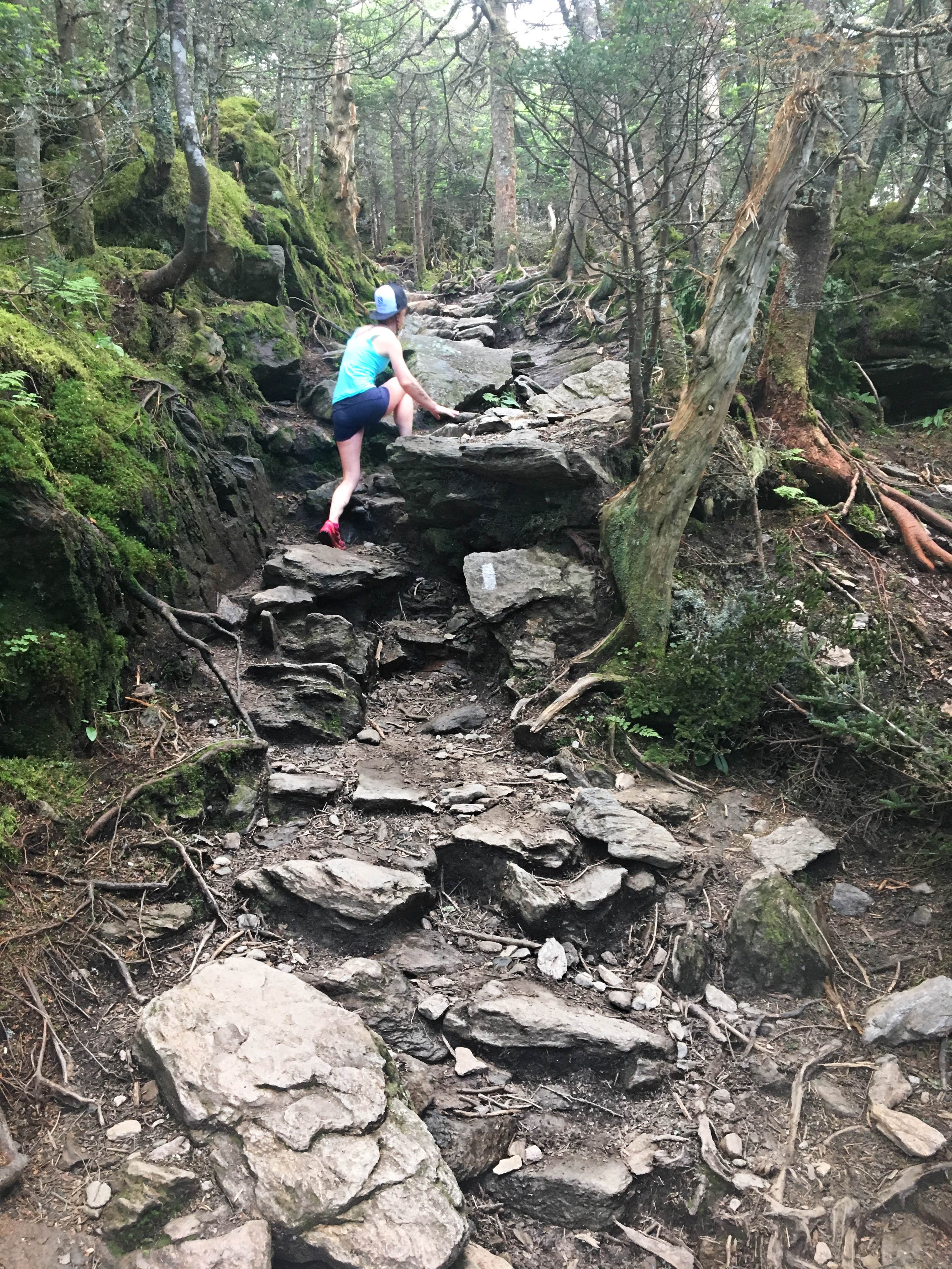 Camper-submitted photo at Camel's Hump State Park — Camels Hump State Park near Barre, VT